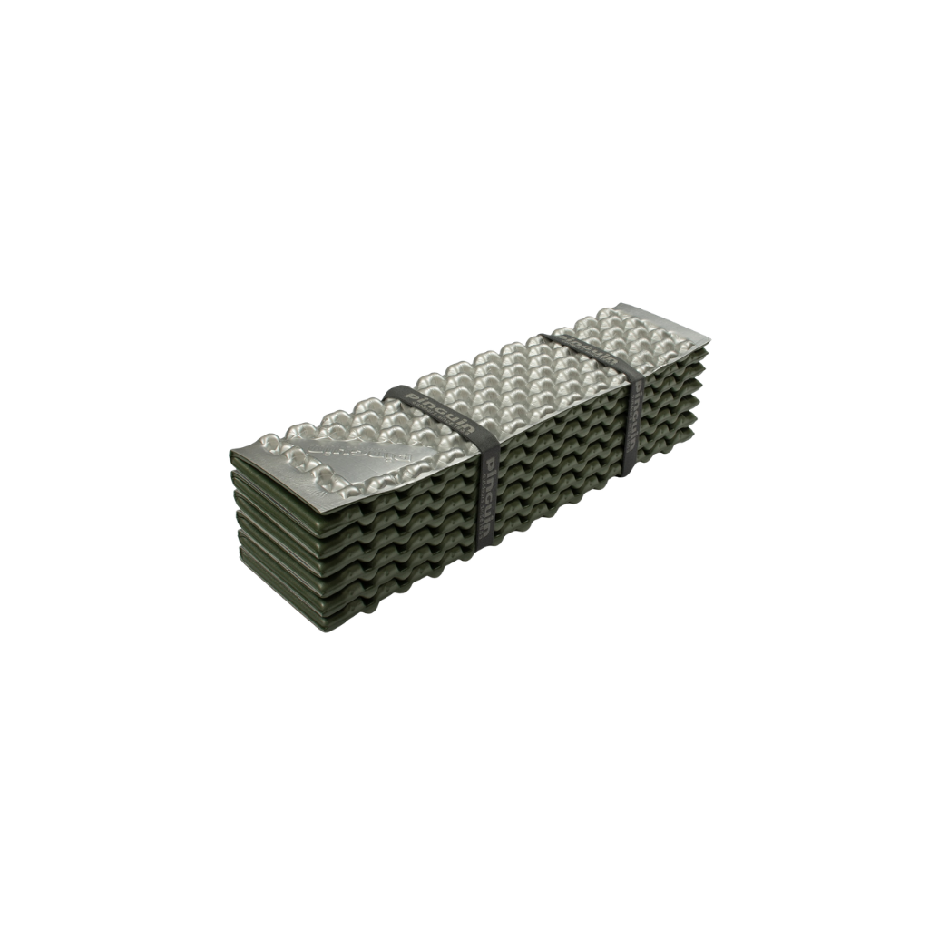 Pinguin Fold Silver/Green